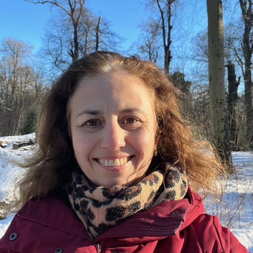 BB Capital - Foto narina